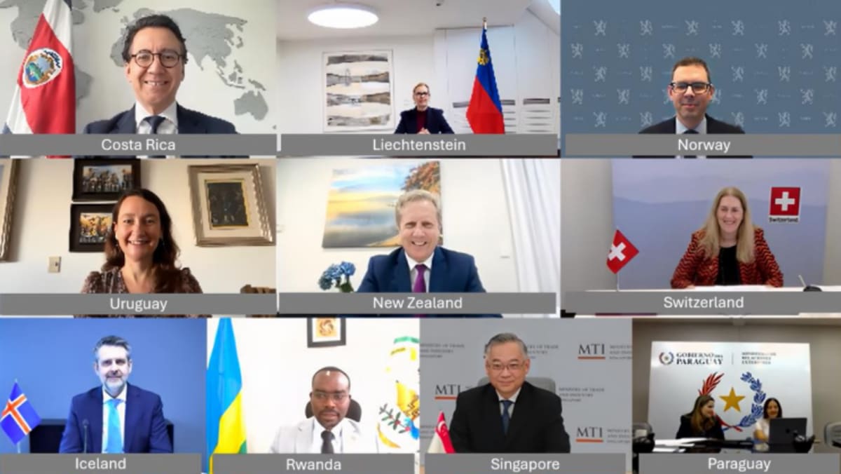 Singapore, 9 other countries back permanent ban on tariffs on digital transmissions ahead of WTO meeting