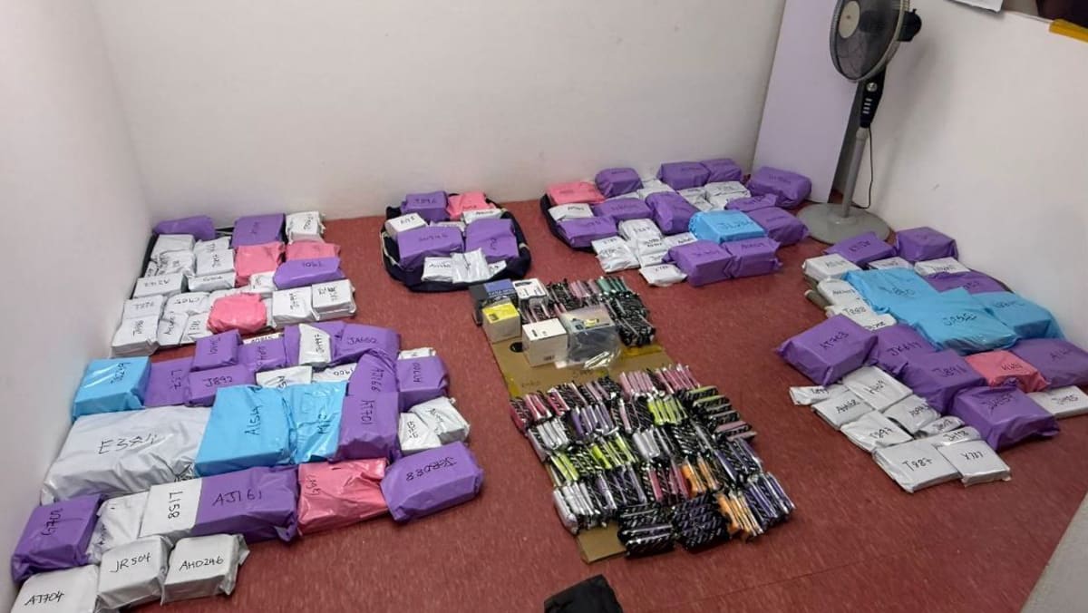 Over S.1 million worth of vapes seized by HSA in largest haul since September 2025