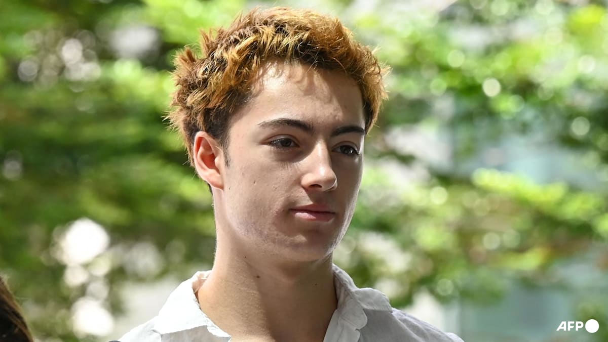 French teen in straw licking case allowed to leave Singapore