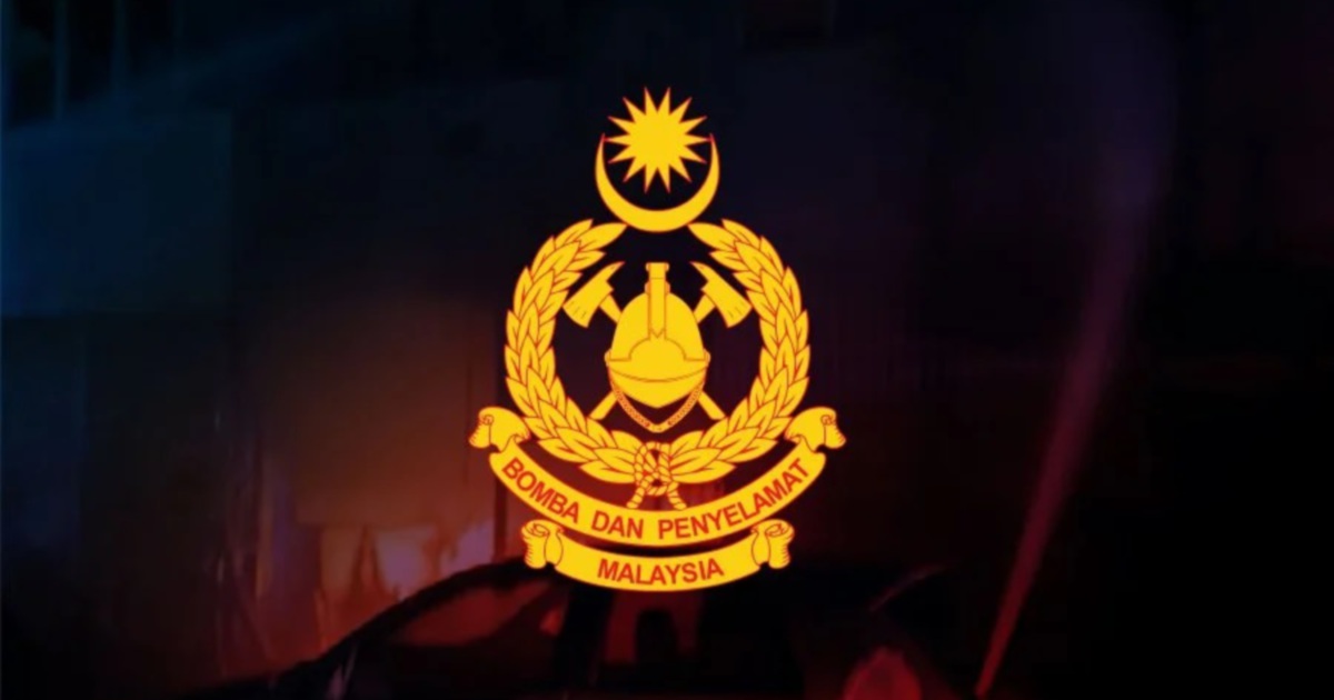 10 cats die as blaze destroys Simpang Pulai animal shelter