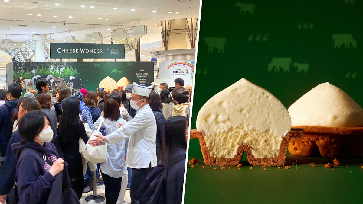 Viral Japanese Soufflé-Mousse Cheesecake Brand Cheese Wonder Coming To S’pore