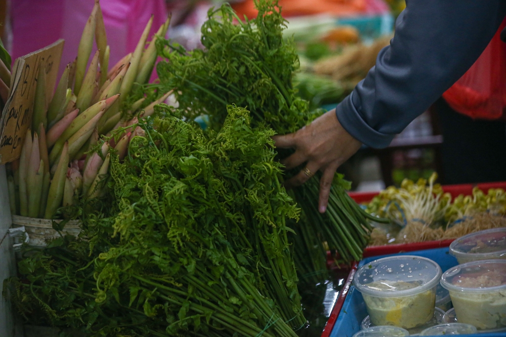 Bracing for impact: How some Malaysians are weathering looming price hikes as the West Asia conflict grips global energy supply