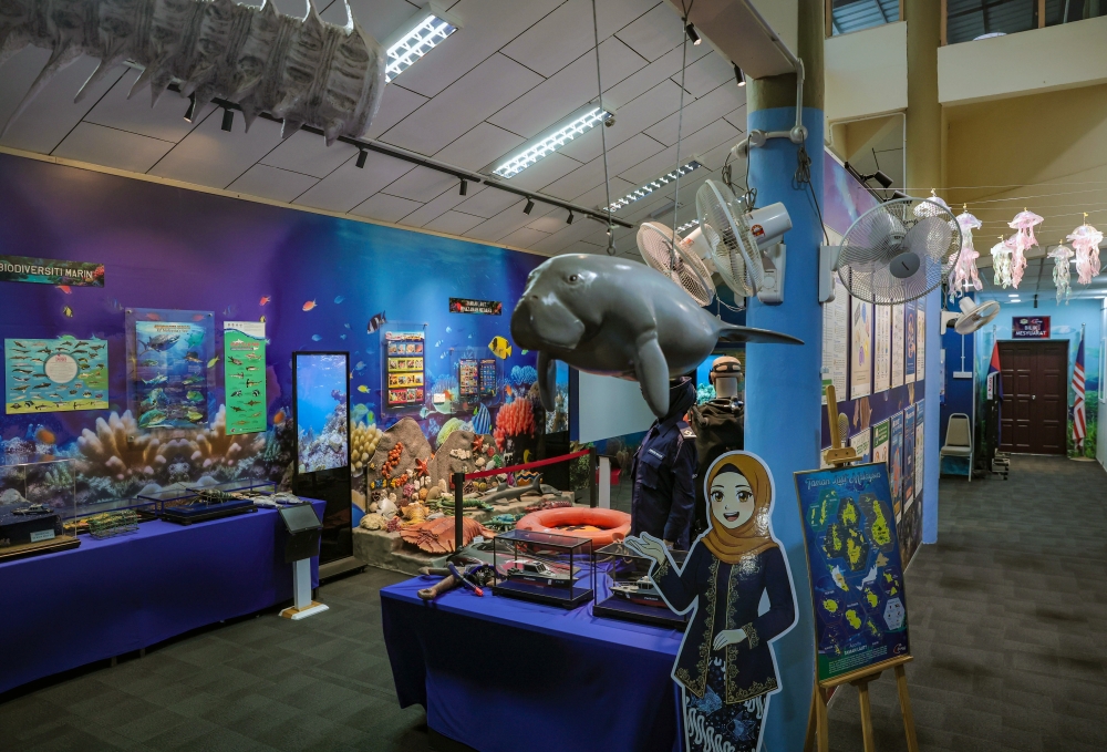 Making waves on land: Mersing gallery turns marine life into an interactive adventure