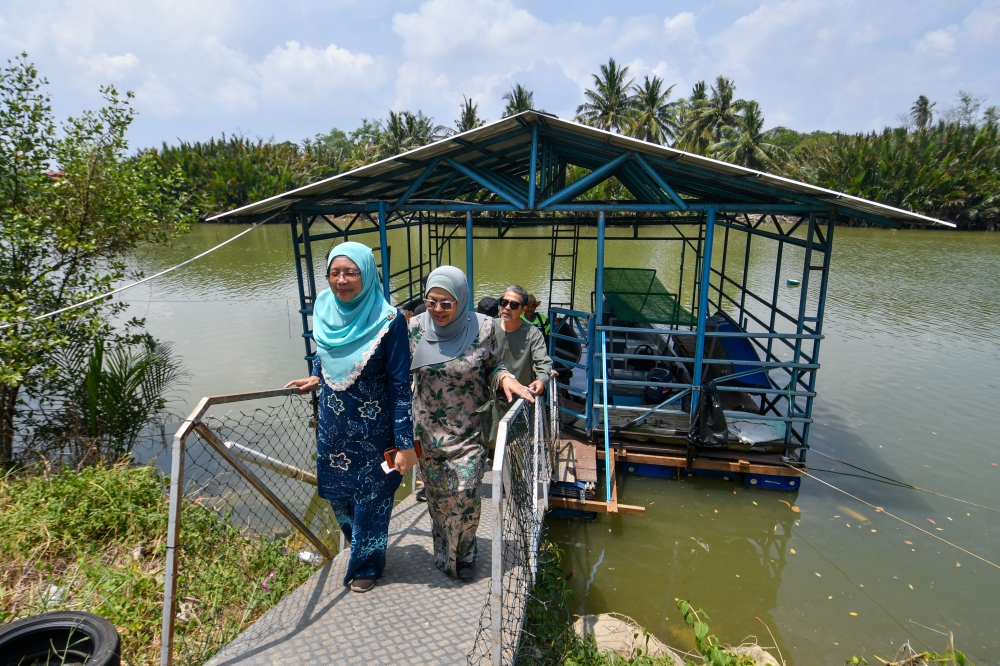 Scorching weather drives Kelantan hotels and homestays to solar power to cut rising costs
