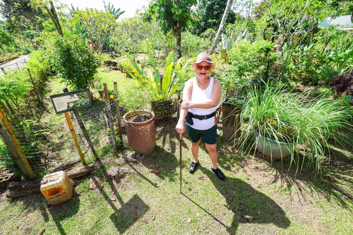 Bollywood Farms lease to end in Dec 2026, owners keen to stay on