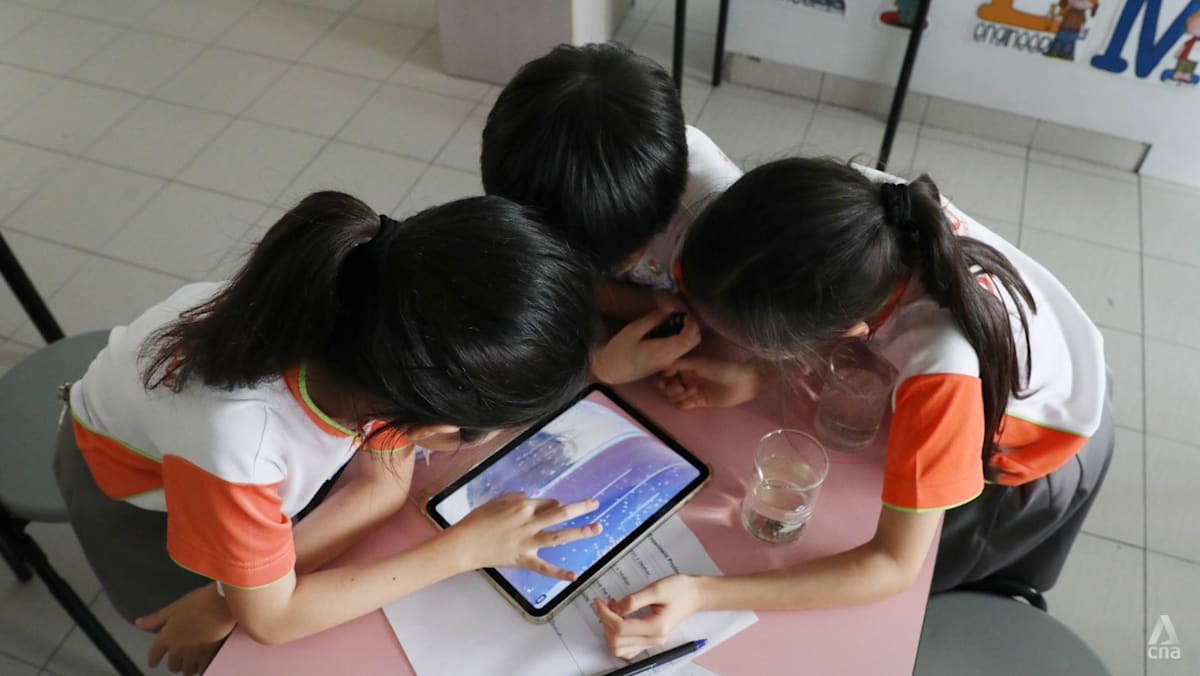 AI use in Singapore schools kept age-appropriate, with focus on learning, not shortcuts: Desmond Lee