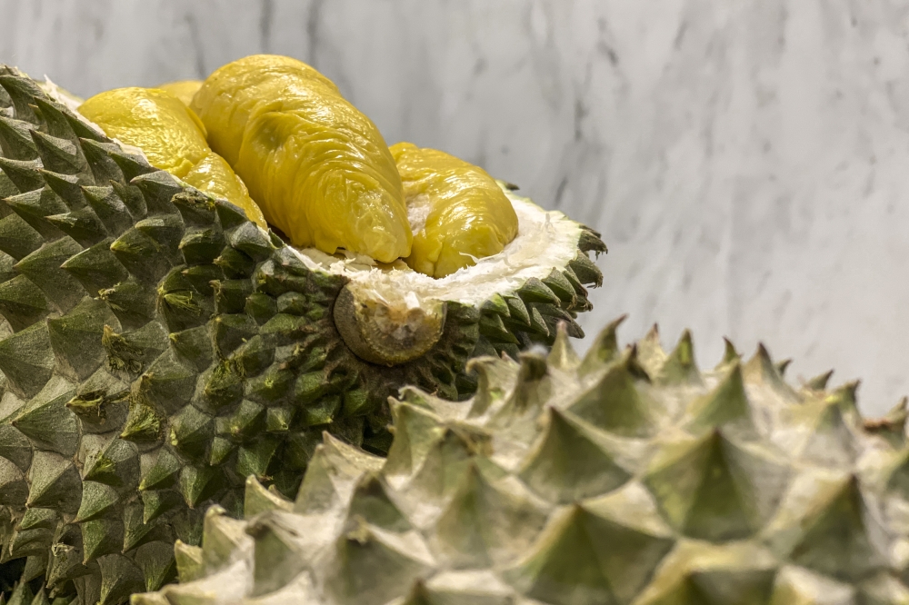 Durian, diversity and diplomacy: Why China’s youth are learning Malay to connect with Malaysia