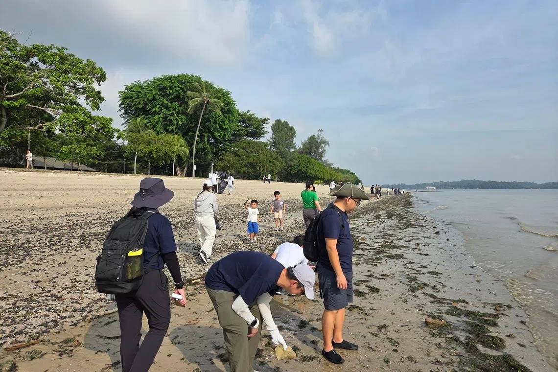 Over k disbursed to environmental groups as foundation expands support to Singapore