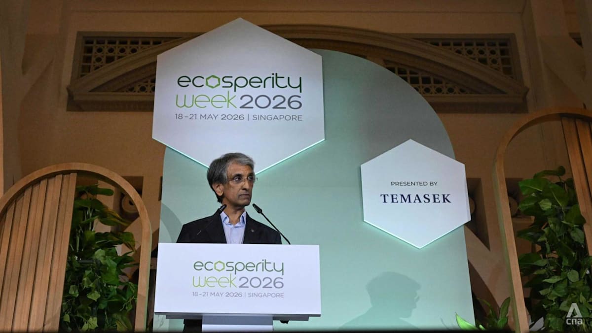 Temasek ‘unlikely’ to meet 2030 climate target amid tougher global landscape: CEO Dilhan Pillay
