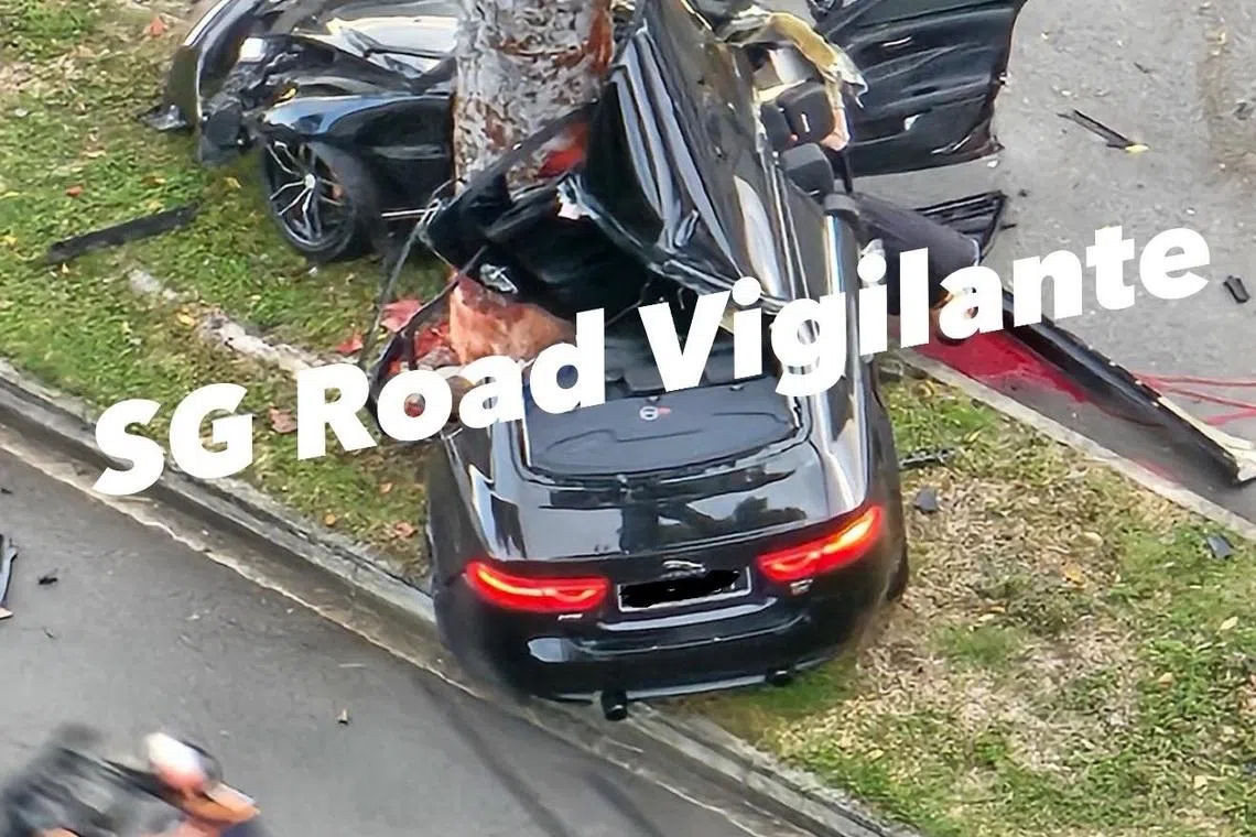 Driver dies after car crashes into tree in Clementi