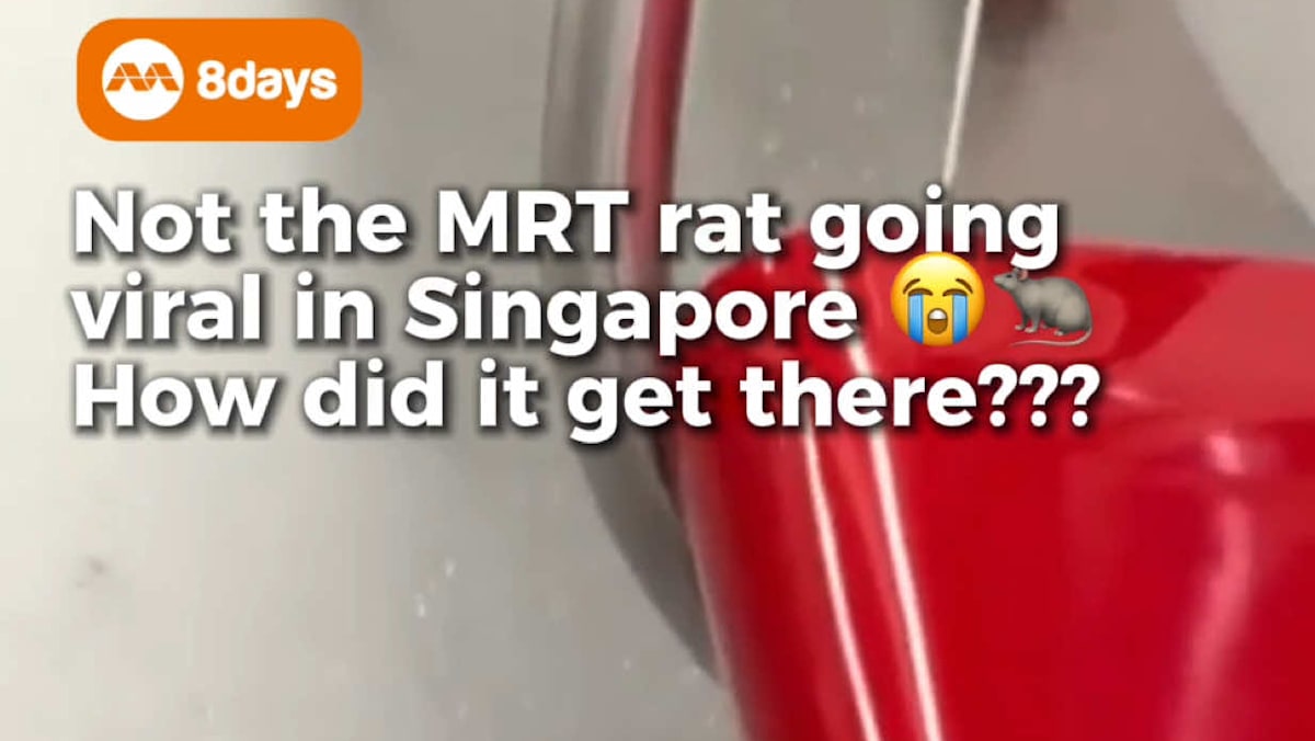 A rat was spotted running inside an East–West MRT line