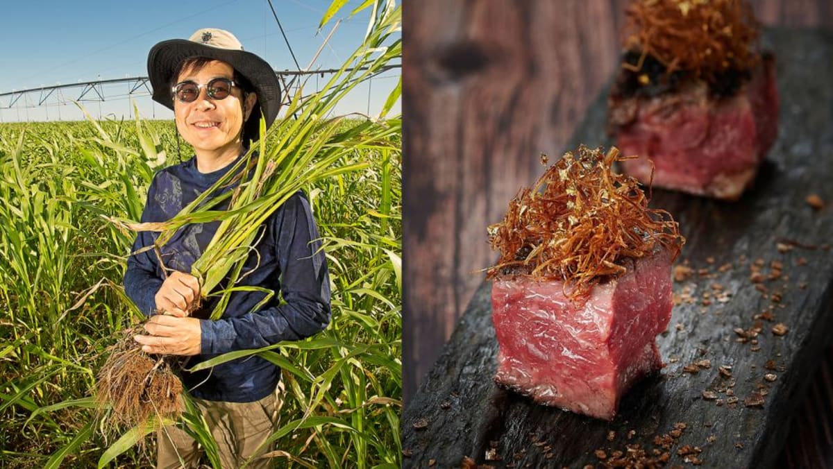 How Bruce Cheung built Pardoo Wagyu In Australia