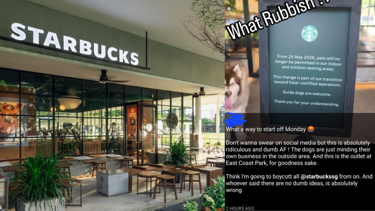 Dogs No Longer Allowed At Starbucks From May 25? East Coast Park Outlet Sparks Backlash Over Impending Pet Ban