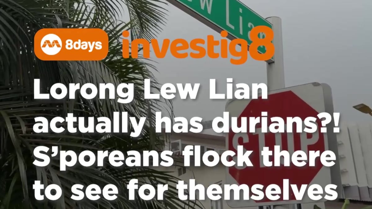 a durian forest would actually be a really nice attraction