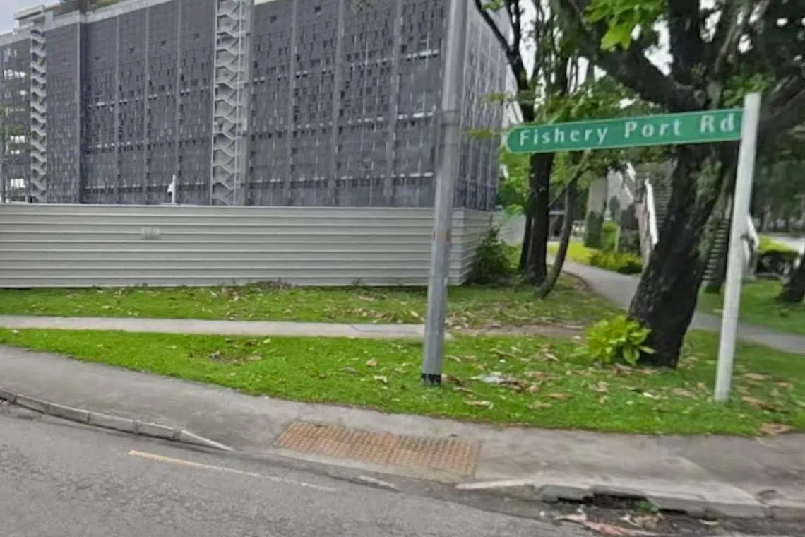 Buildings in Fishery Port Road evacuated after ammonia detected; SCDF hazmat team on site
