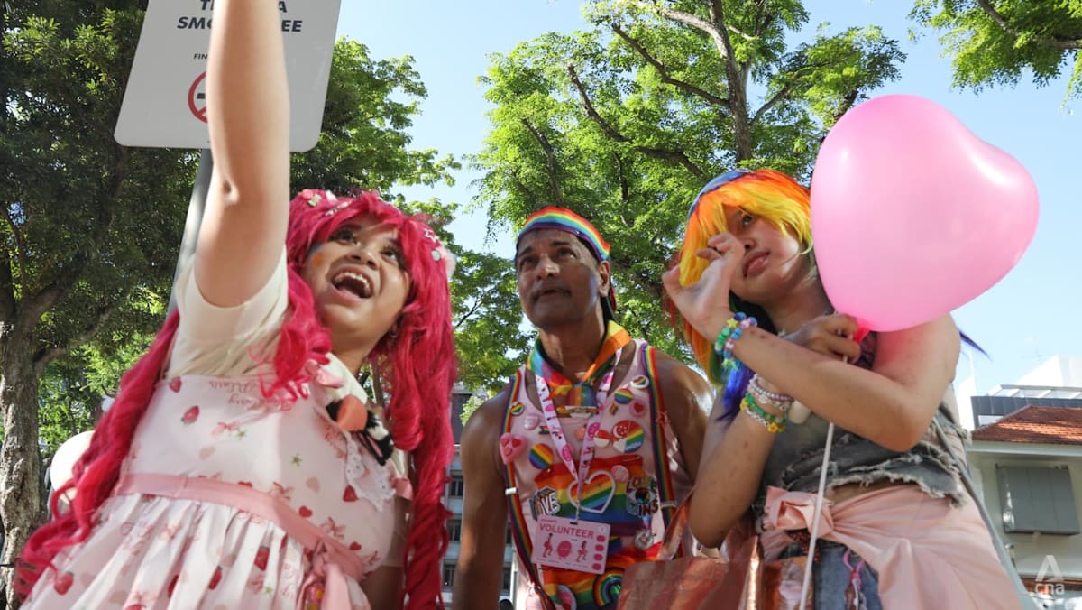 Thousands show up at Hong Lim Park for 18th Pink Dot rally