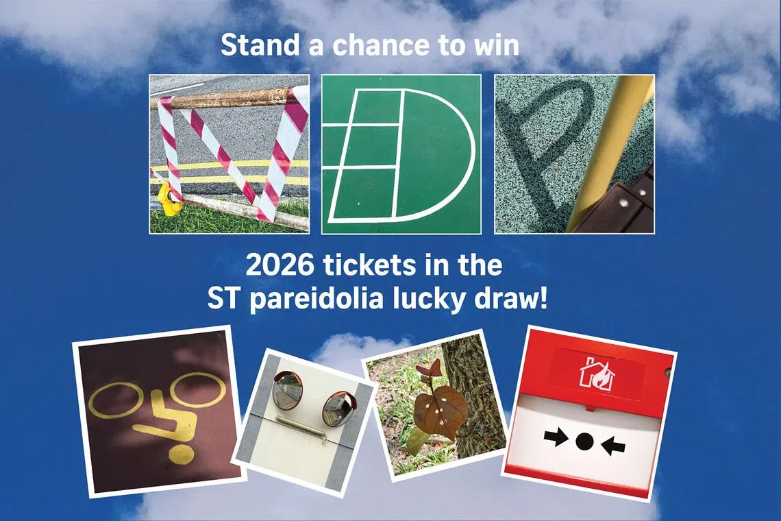 Stand a chance to win a pair of NDP 2026 tickets with ST’s pareidolia lucky draw