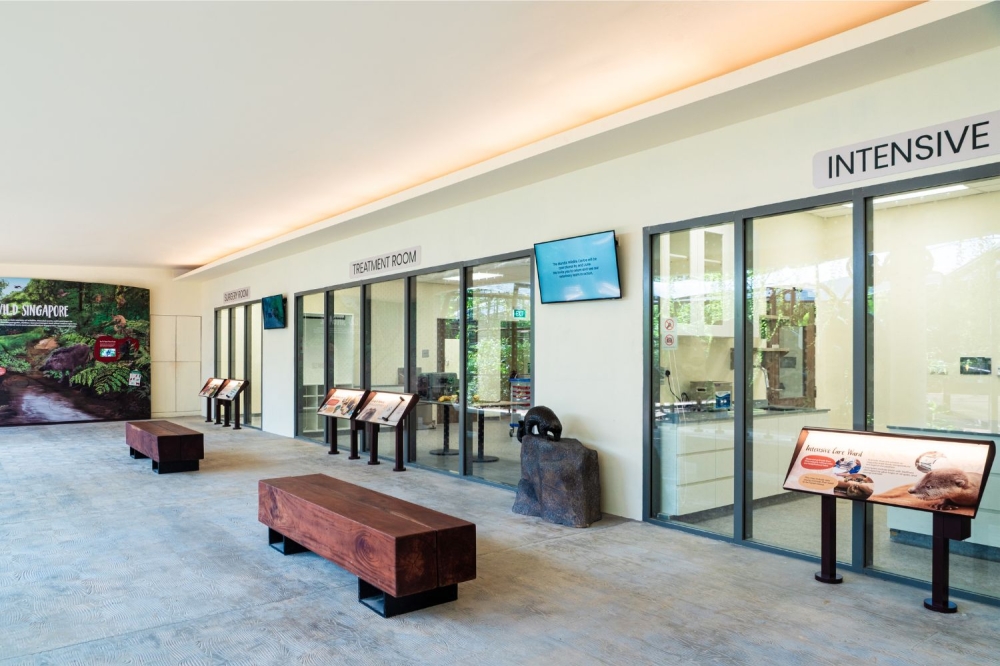 Singapore’s first dedicated hospital for native wildlife opens at Mandai 