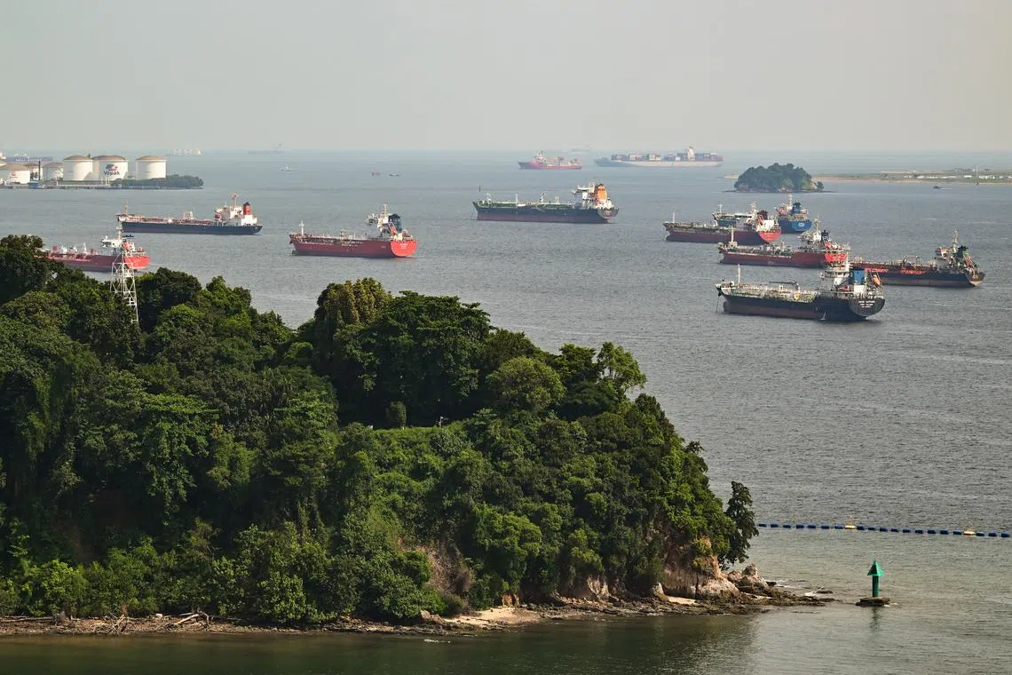 Sentosa’s Tanjong Rimau to get coastal erosion protection