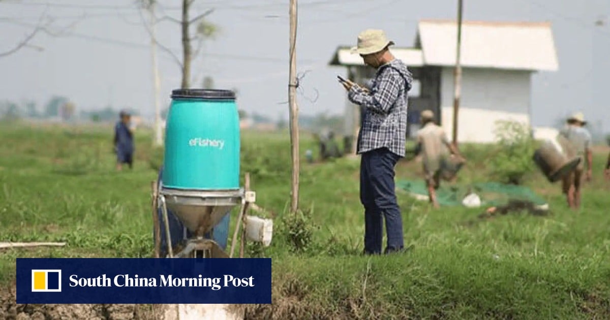 Malaysia’s US million investment in Indonesian start-up revealed as fraud