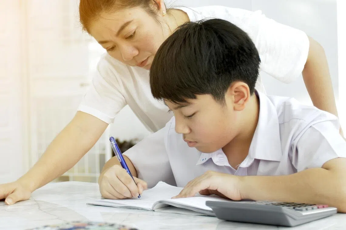 Exam support: tips for academic success