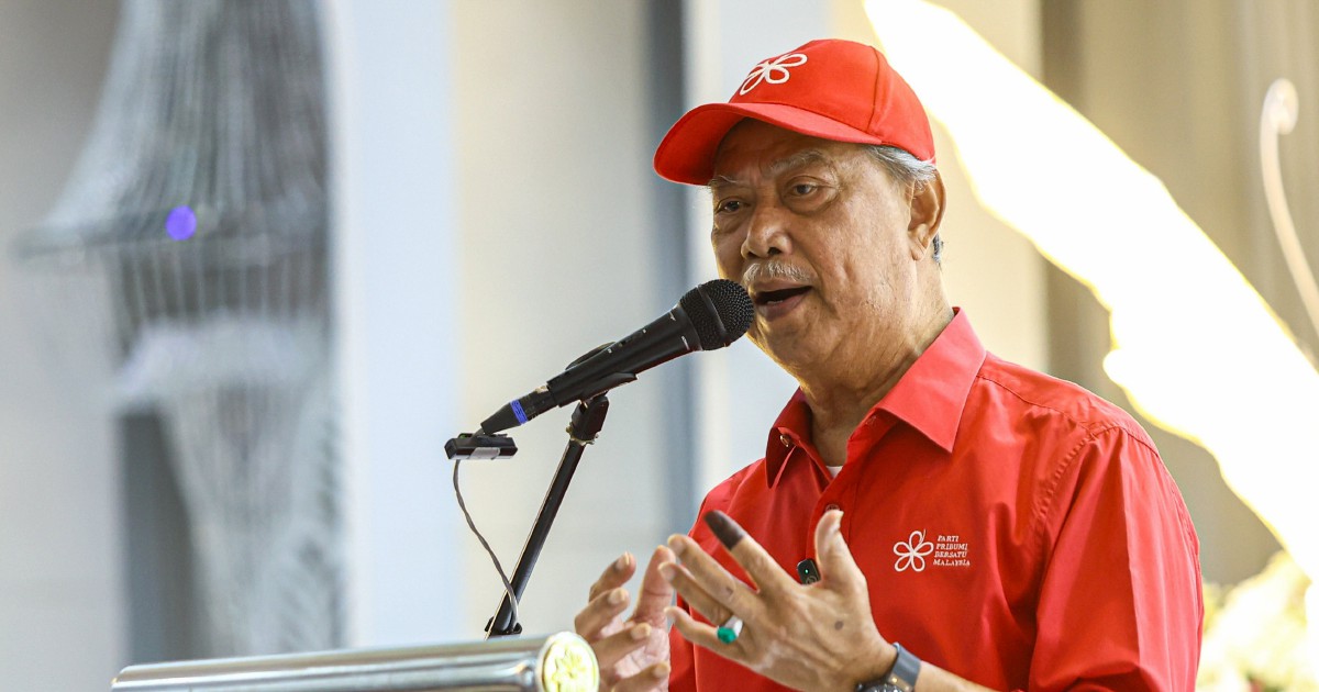 Muhyiddin says Bersatu remains sole opposition voice