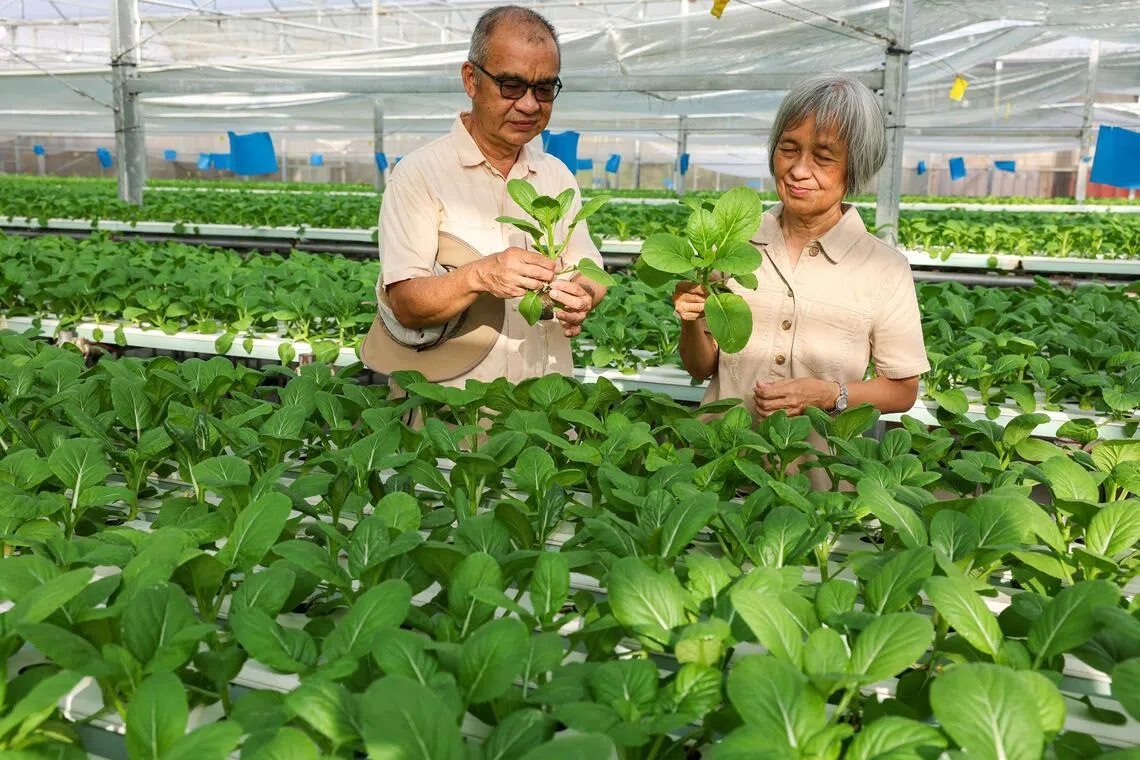 Seven local farms secure wholesale deals