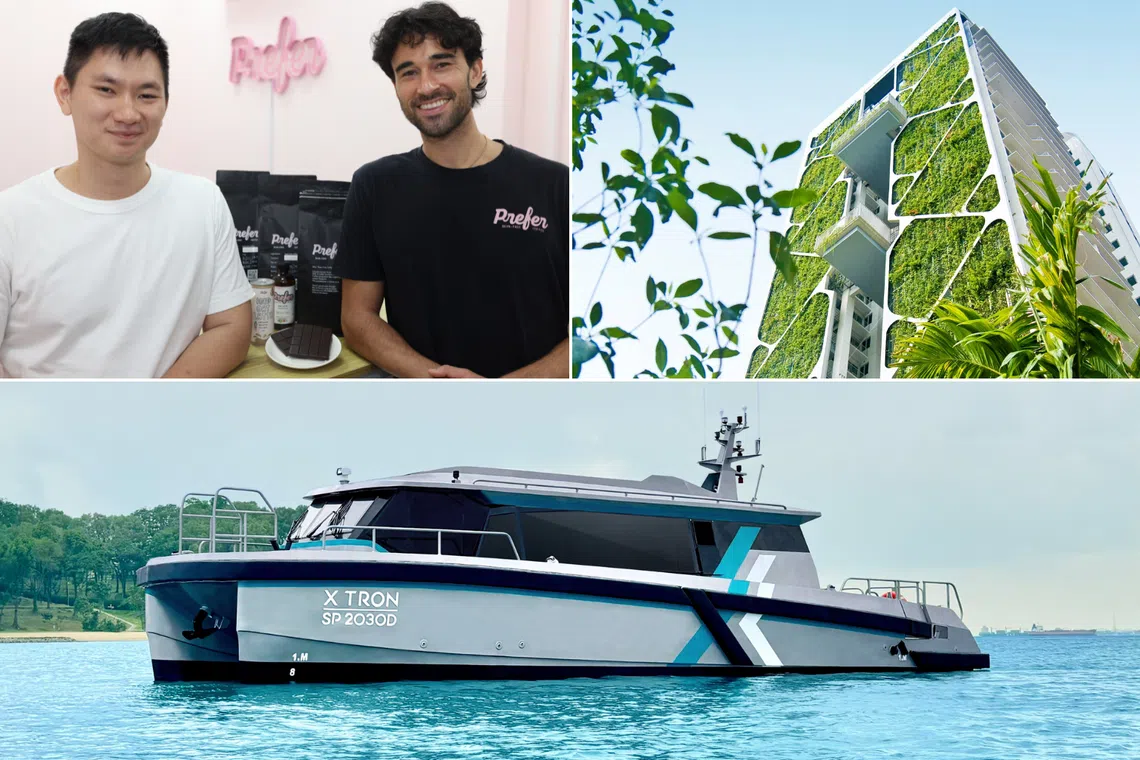 What are the benefits of sustainability in business?