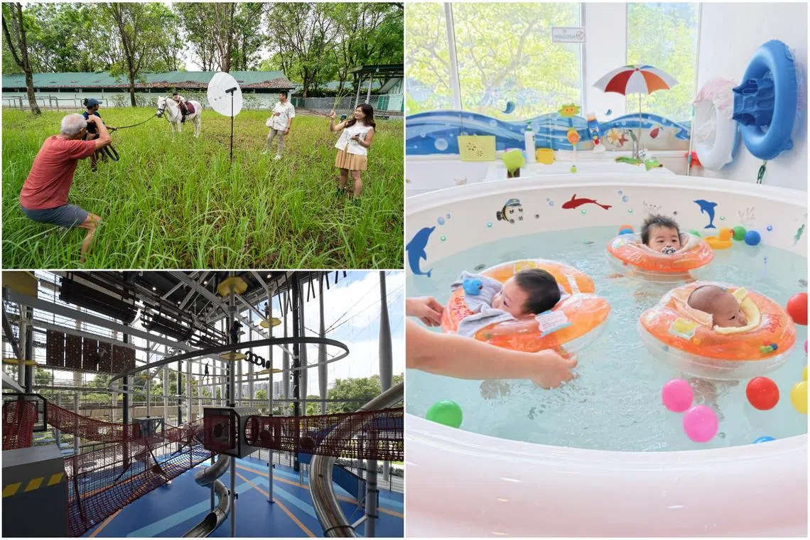 Pony rides, farm visits, baby spas: What to spend your 0 Child LifeSG Credits on