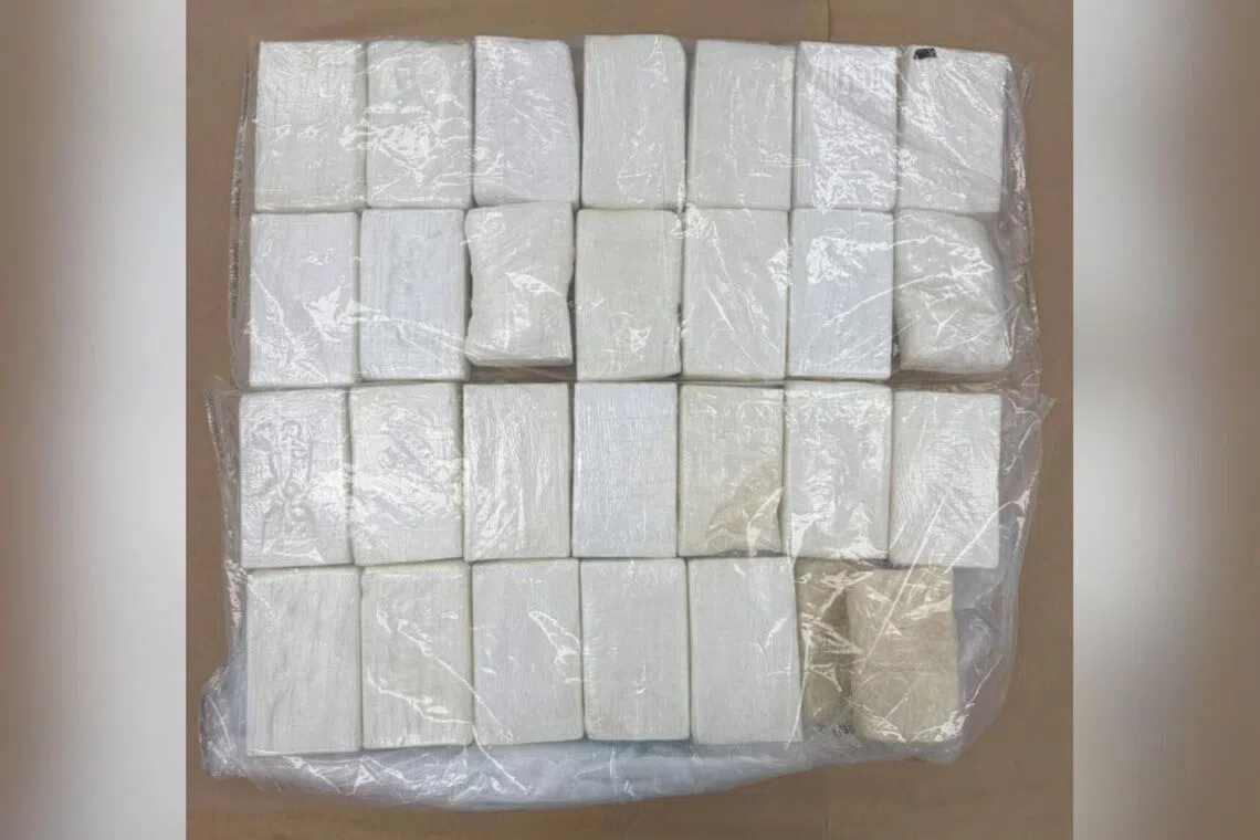 More than 28kg of cocaine seized from vessel in Singapore waters