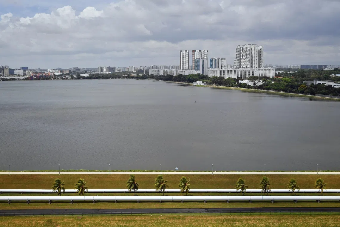Crocodile sighted at Pandan Reservoir
