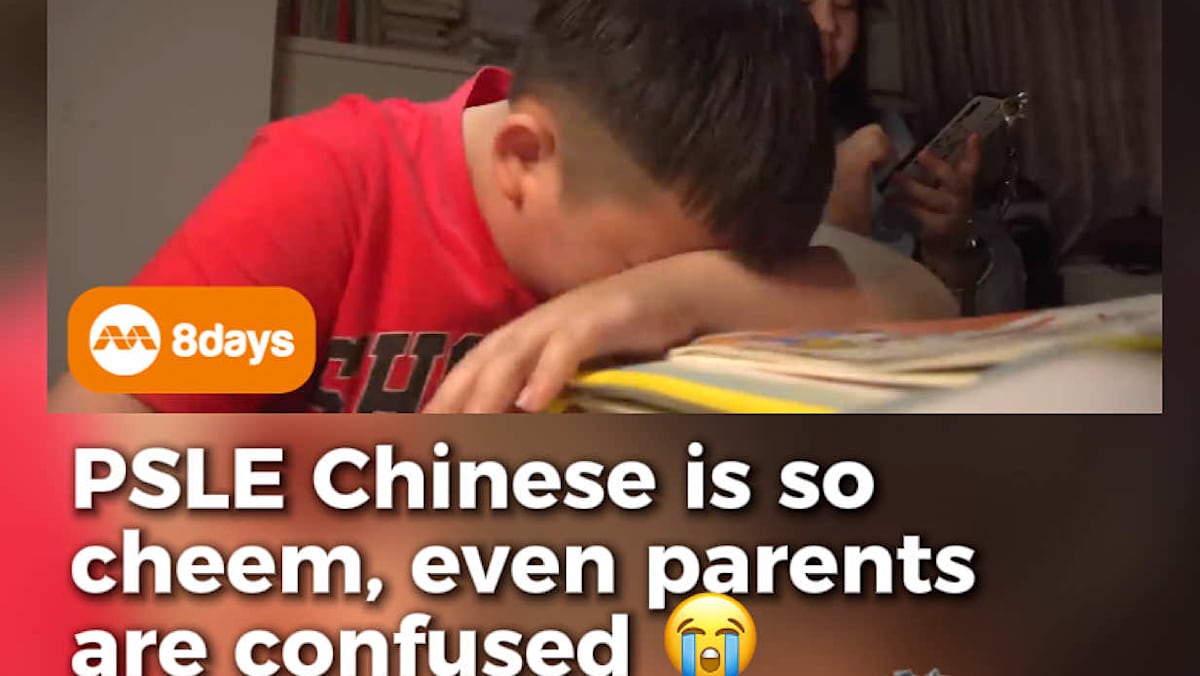 Following the 2026 PSLE Chinese orla exam, parents are