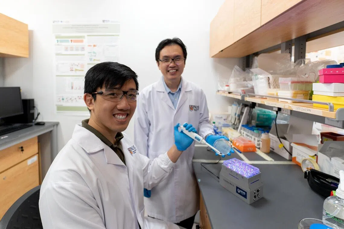 Optogenetics: Controlling yeast with light