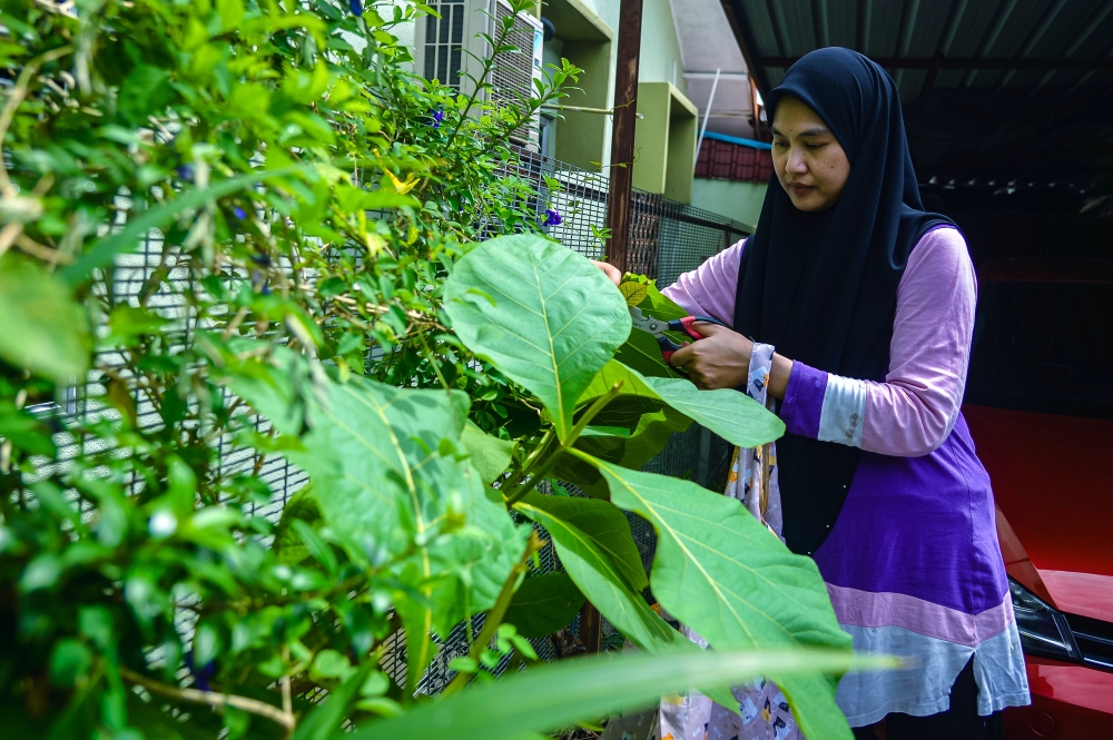 Single mum turns love of gardening into eco-printing business, but lacks social safety net