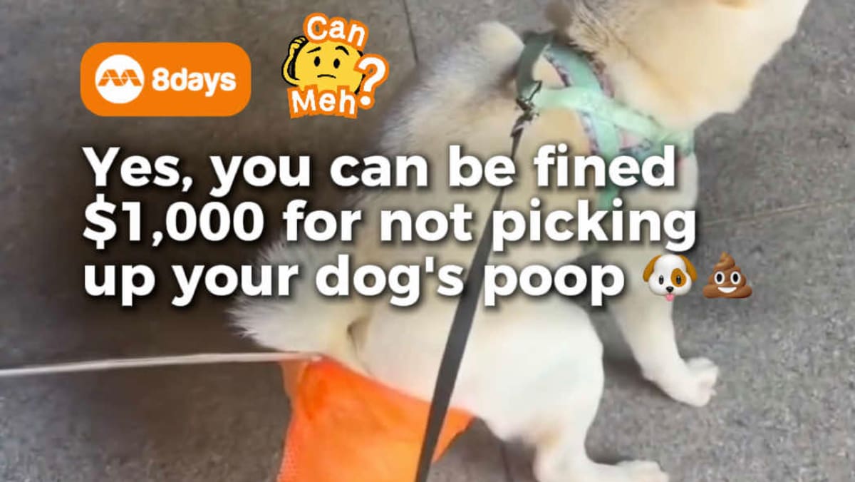 Can you get fined for not picking up your dog’s poo in