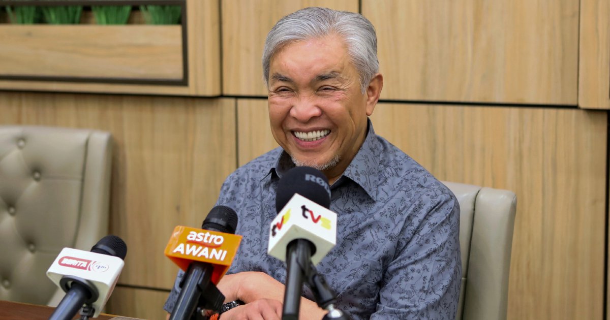 ‘We act professionally’: Zahid says Najib pardon won’t split Unity Government