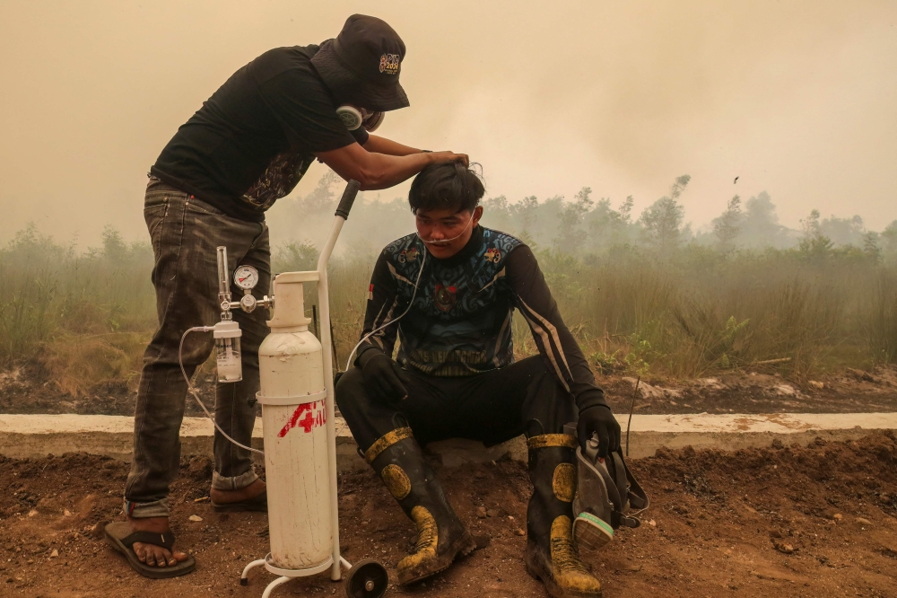 Singapore turns to its own palm oil and forestry firms in Indonesia as South-east Asian haze probe grows