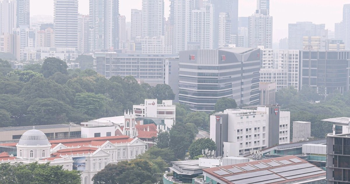 Who owns the 10 Singapore firms targeted by the haze law?