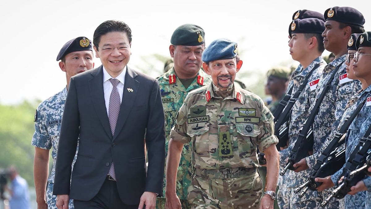 Singapore, Brunei mark 50 years of defence ties with joint military parade