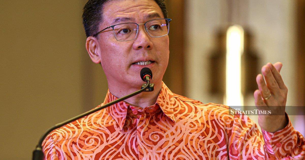 Unprotected green spaces: Nga Kor Ming presses states to gazette open land
