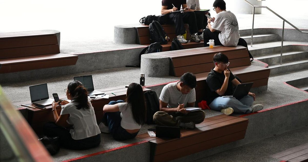 Year-long internships offered to 3,000 tertiary students to counter AI threat to entry-level jobs