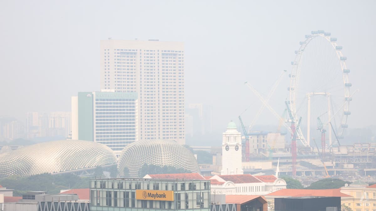 What to know about the 10 Singapore-based companies issued notices over transboundary haze