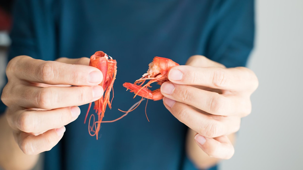 Can prawn allergies be treated: New Singapore trial explores oral immunotherapy