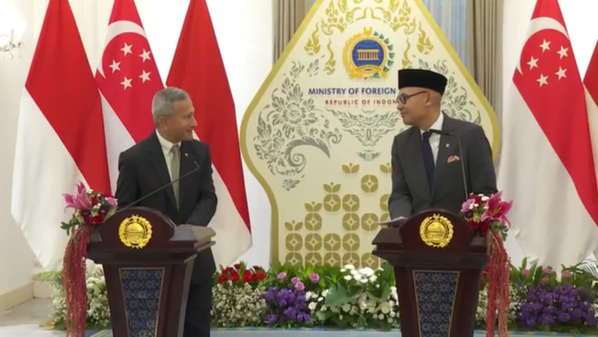Singapore, Indonesia setting up joint task force to probe firms linked to forest fires; hotlines to manage differences